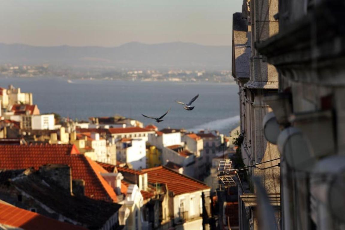 Sete Colinas Apartment Lisboa Εξωτερικό φωτογραφία